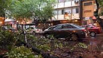 Mendoza se vio afectada por la el&nbsp; tormenta de Santa Rosa.