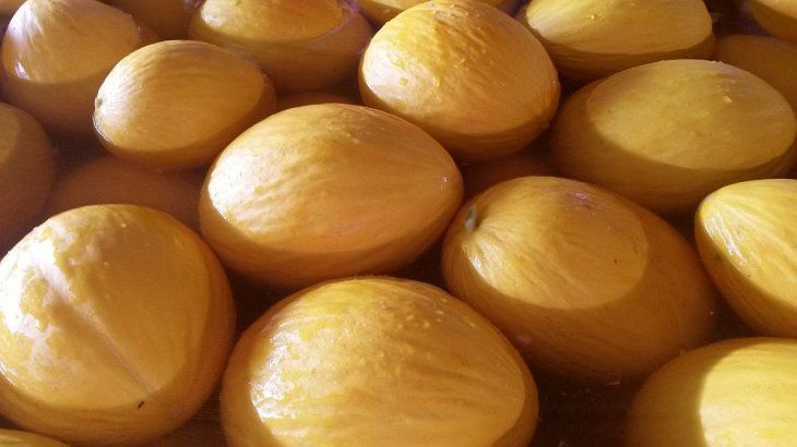Melón