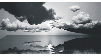 ámbito.com | “Staging Silence II”, videoproyección de Hans OP De Beek, uno de los varios artistas belgas reunidos en la muestra “The Importance of Being…” que exhibe el MACBA.
