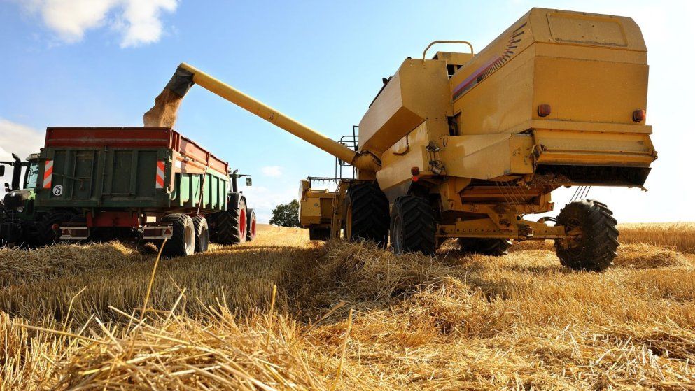 El agro impulsó la actividad económica en diciembre.