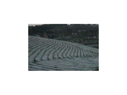 Prevén ola polar y lluvias escasas sobre área agrícola