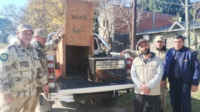 La especie en peligro de extinción apareció en una vivienda de Entre Ríos.