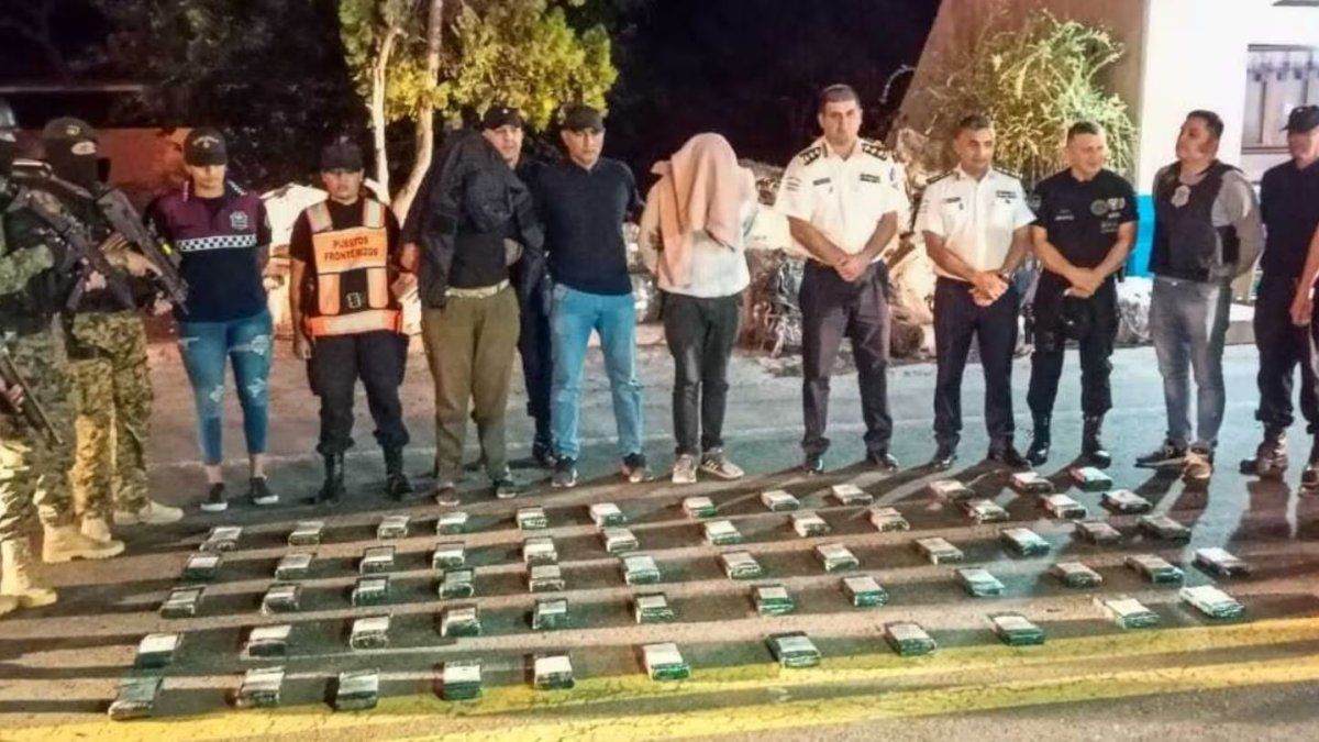 Tucumán kidnapped more than 60 kilos of cocaine of the highest purity on the border with Salta