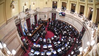 El Senado debate el presupuesto 2026.