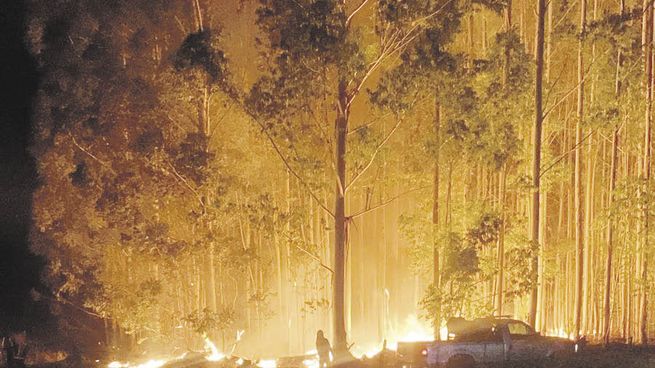 recursos. En Entre Ríos, Bomberos Voluntarios de Concordia pidieron más herramientas al Gobierno provincial para combatir los incendios.