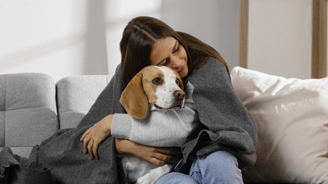 El gesto de tu mascota que podría estar diciéndote mucho más de lo que pensas