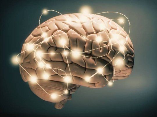 Cerebro.