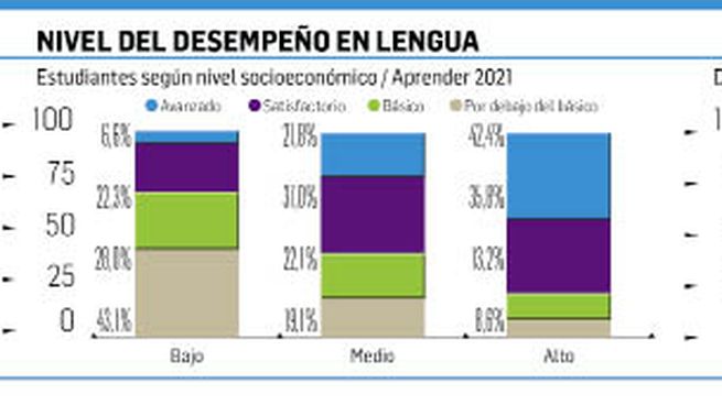 P18_LENGUA 4x6_opt.jpeg