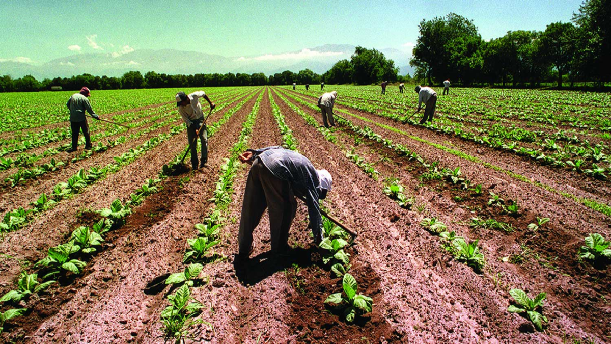 Agricultural entities of Córdoba issued a harsh statement against the Government for the withholdings
