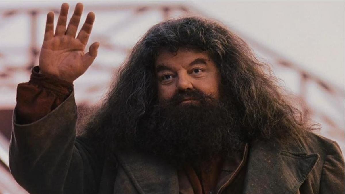 Robbie Coltrane, the actor who played Hagrid in Harry Potter, has died