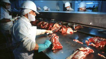 Ocho plantas procesadores de carne fueron habilitadas por el gobierno Chino para exportar.