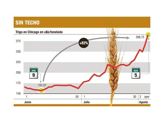 Llega más viento de cola: el trigo aumentó ayer un 8,2%