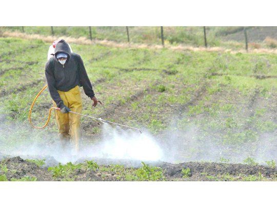 El mercado de agroquímicos creció 25% en esta campaña