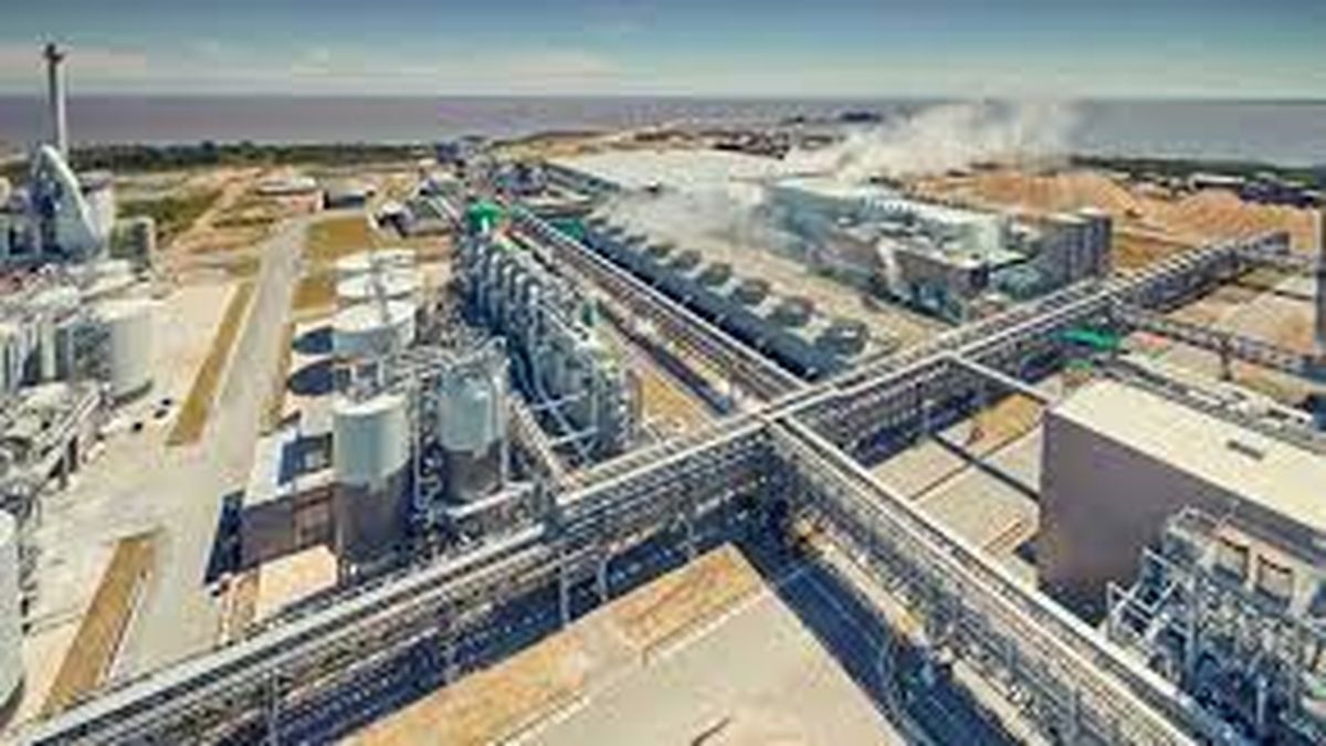 Montes del Plata requested authorization to buy 4 companies