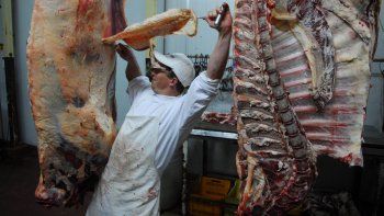 carne: exportaciones crecieron el 8,4% en 2020 (china represento el 75%)