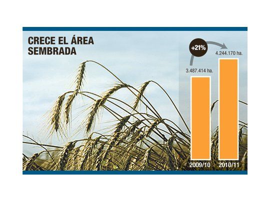 El área sembrada con trigo crecerá un 21% por el aumento en mercados