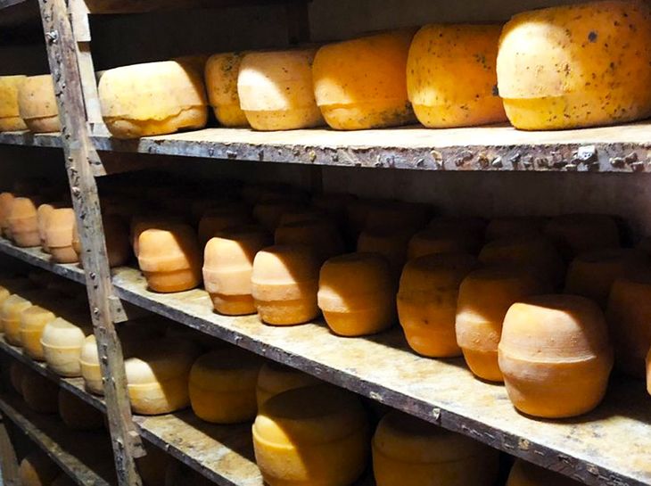 A shelf of Suipacha Cheeses with the lasts visible. A shelf of Suipacha Cheeses with the lasts visible.