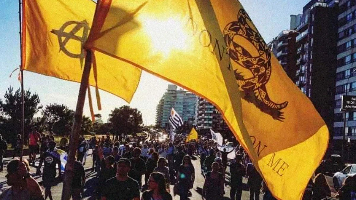 Yamandú Orsi does not believe that a libertarian phenomenon is possible in Uruguay