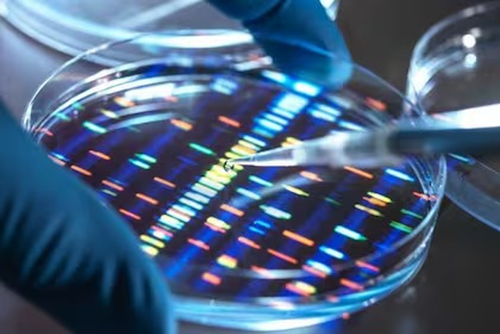 Guardar la información dentro del vidrio utilizando láseres, una alternativa a los centros de datos. Guardar la información dentro del vidrio utilizando láseres, una alternativa a los centros de datos.