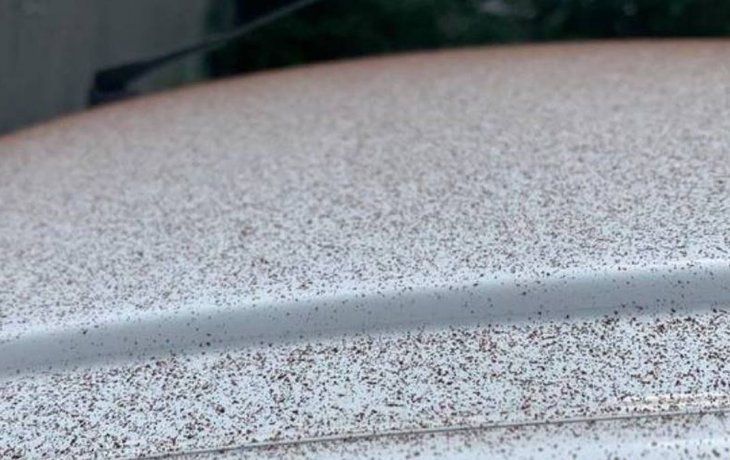 Un auto amaneció cubierto de cacao.