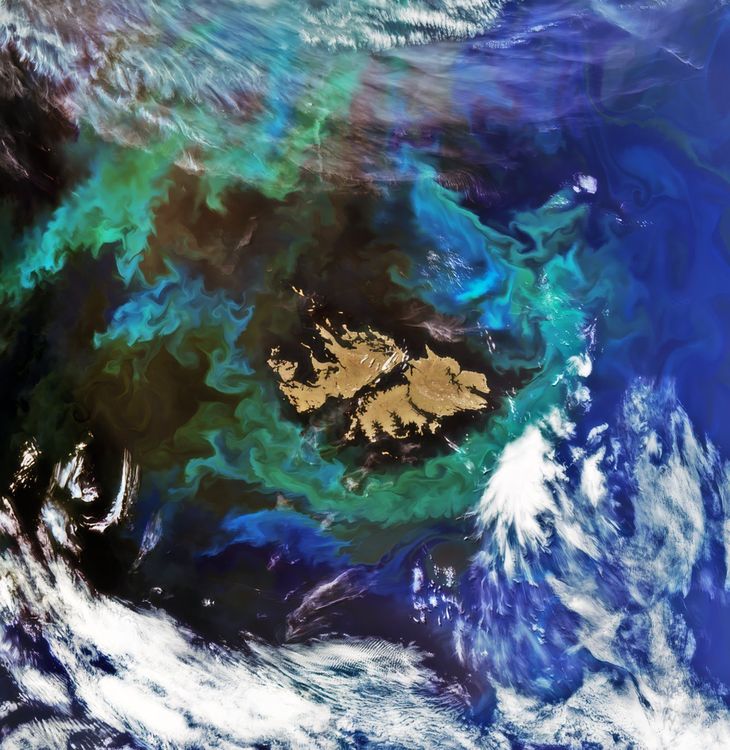 El posteo original de la NASA destacaba las condiciones del Océano Atlántico para la proliferación de fitoplancton.