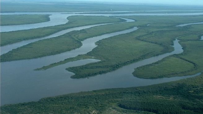 Las islas Chala, Ingá y Pingüino, donadas por Butler, integran los Esteros de Farrapos, una zona incluida en el Sistema Nacional de Áreas Protegidas (SNAP).