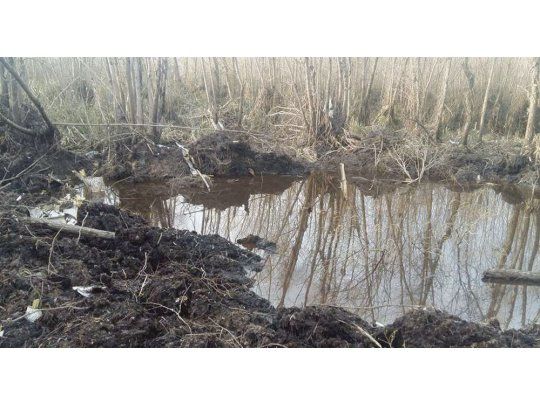 El lugar. Los restos de la avioneta fueron hallados en la zona del Delta del Paraná, una zona “dificultosa” para la búsqueda por su vegetación.