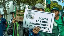 la utt realizara un verdurazo y frutazo en plaza constitucion