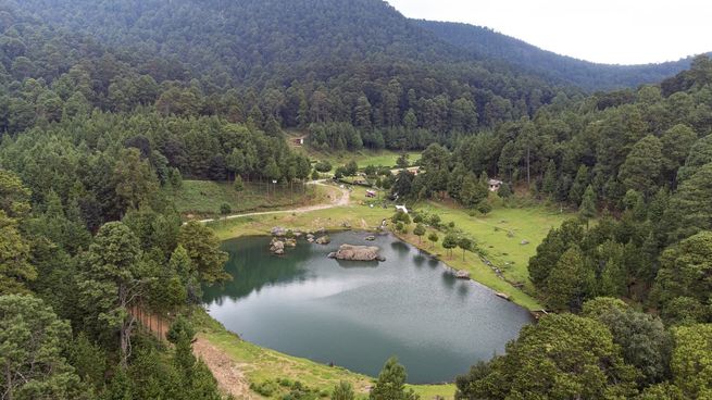 Uno de los bosques de Villa del Carbón.