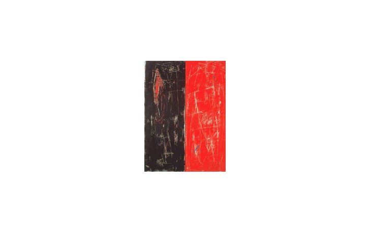 ámbito.com | Haiku para el rojo y el negro.