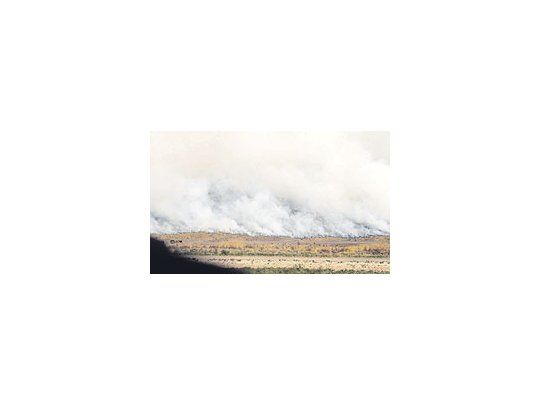 Los bomberos siguieron ayer combatiendo focos de fuego en el delta de Zárate. Ahora lascortinas de humo dependen de posibles lluvias que terminen de extinguir las llamas.