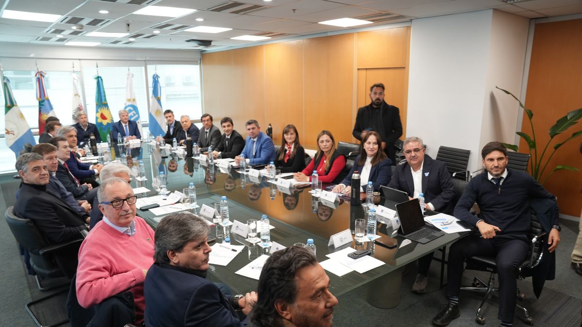 The Government sent $ 91,000 million in ATN to the provinces this year: what were the beneficiaries?