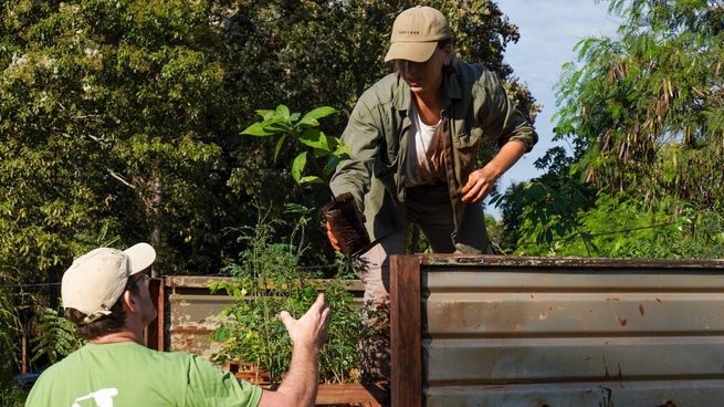 El árbol número 100.000 simboliza no sólo un logro ambiental, sino también el esfuerzo colectivo de comunidades locales, técnicos, voluntarios y organizaciones que día a día suman su energía para devolverle vida al bosque.