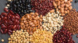 The legumes that you must incorporate into your diet to be healthier