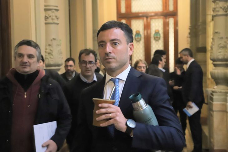 Rodrigo De Loredo, presidente del bloque de Diputados de la UCR. Rodrigo De Loredo, presidente del bloque de Diputados de la UCR.