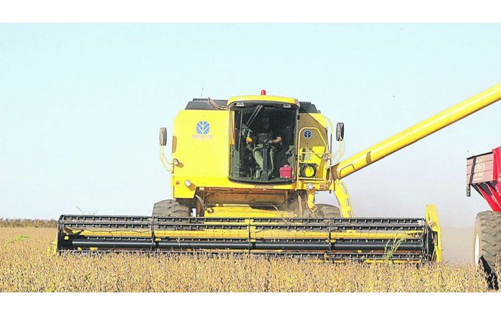 REPUNTE PRODUCTIVO. En gran parte de las zonas agrícolas afectadas el clima mejoró y se esperan buenos rendimientos para los cultivos.