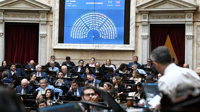 La Cámara de Diputados ingresará en año electoral este 2025.