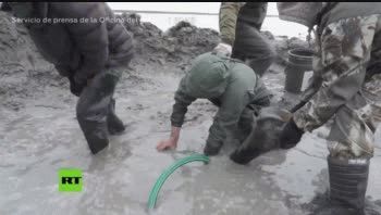 Hallaron el esqueleto completo de un mamut en Rusia