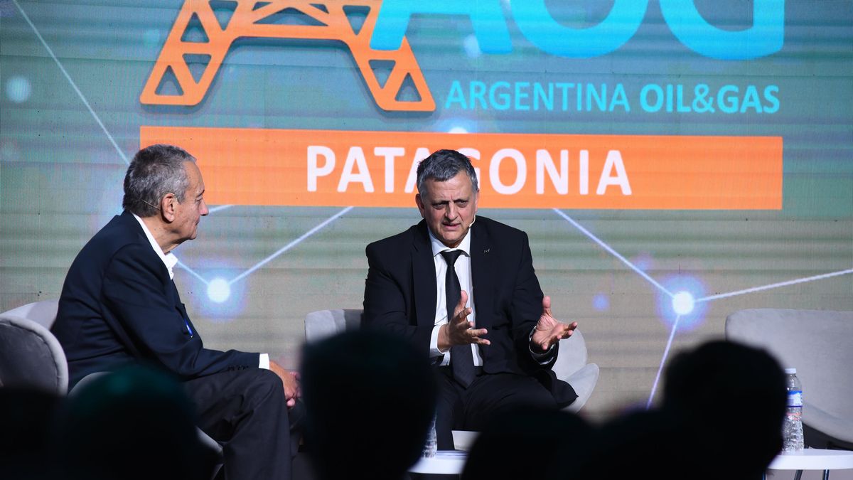 Horacio Marín: “In January we started the construction of the Vaca Muerta Sur”
