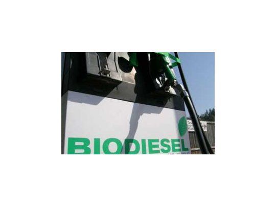 Ante impuesto de UE, productores insisten en reemplazar gasoil por biodiésel