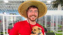 Mr Beast rescató a 100 perros de la calle