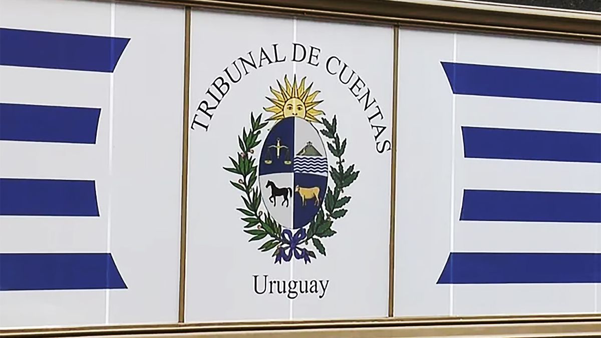 The president of the Court of Auditors resigned from her position
