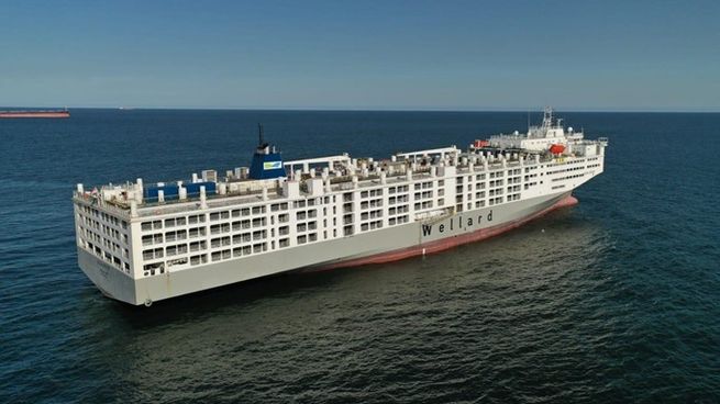 El MGAP confirmó que la empresa involucrada realizaba su primera operación y anunció que el incidente servirá como antecedente para reforzar la fiscalización del comercio de animales en pie.