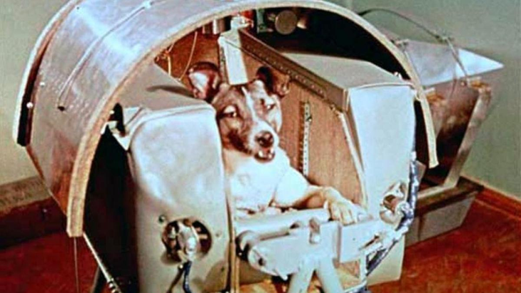 La NASA enviaba animales al espacio porque se temía que los mamíferos en general no pudieran sobrevivir sin la gravedad.