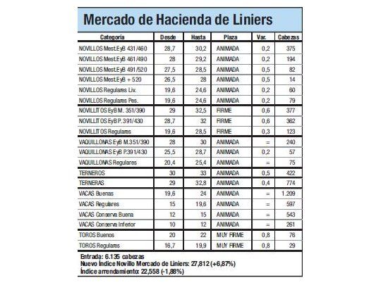 Índice Novillo, con fuerte alza: 6,9%