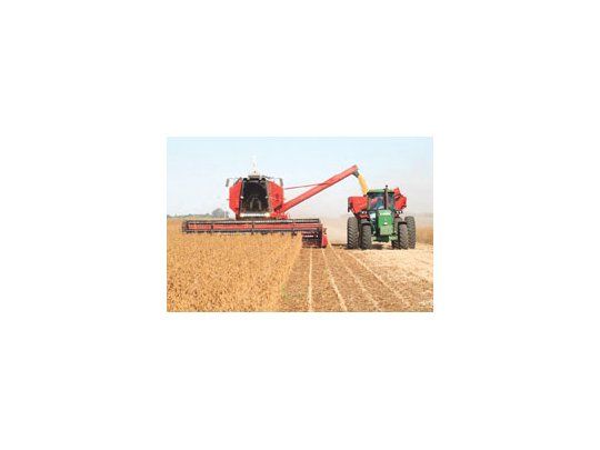 La soja sufre los efectos de la sequía, y el rinde inicial promedio se calcula en 19,6 quintales por hectárea, una baja productiva de más de 700 kilos respecto del ciclo precedente.