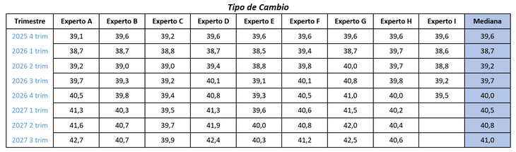 Los expertos que asesoran al Ministerio de Economía y Finanzas prevén un dólar máximo de 41 pesos en el mediano plazo. Los expertos que asesoran al Ministerio de Economía y Finanzas prevén un dólar máximo de 41 pesos en el mediano plazo.