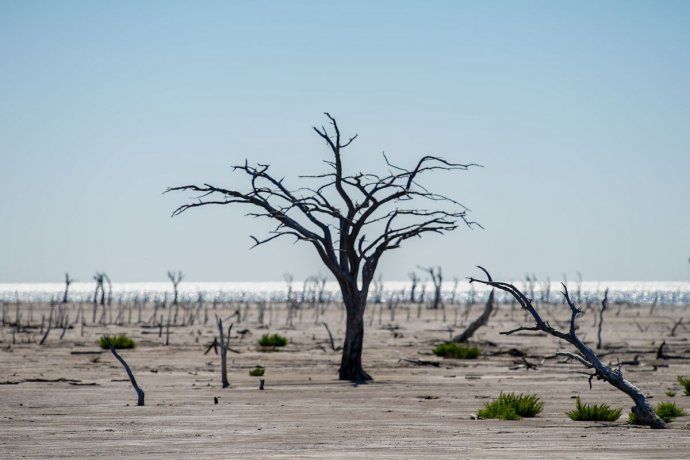 Parque Nacional Ansenuza.