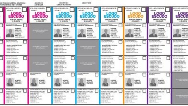 Boleta única modelo Mendoza, el proyecto que se votará hoy en Diputados.