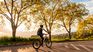 The holidays at the end of the year allow us to enjoy spring and nature. The holidays at the end of the year allow us to enjoy spring and nature.